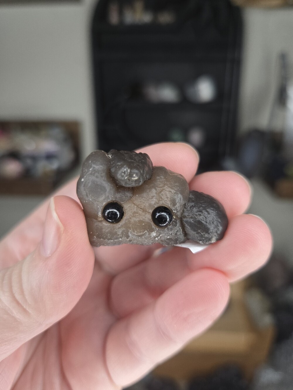 Panda Agate Freeform Crystal Hedgie Buddy A
